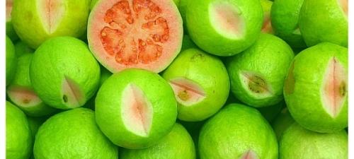 guava.jpg