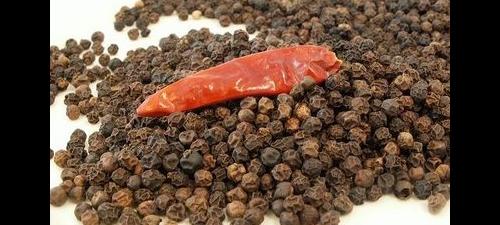 black pepper.JPG